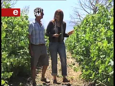 3rd Degree Tonight  2012-11-27