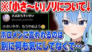 「小さい」ノリを今後やめて欲しい話をする星街すいせい【ホロライブ 切り抜き Vtuber 星街すいせい 】