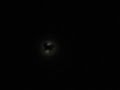 Черная кошка на фоне Луны 