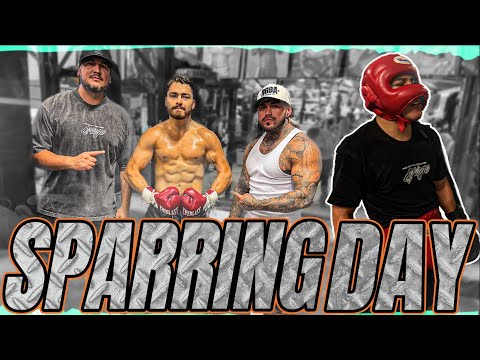 Sparring day at RGBA | Robert Garcia Boxing Academy
