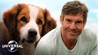 Bailey Returns to Ethan