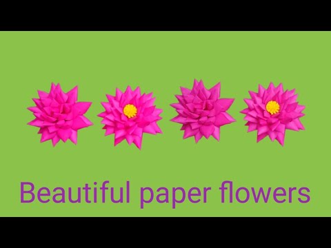 Beautiful paper flowers 