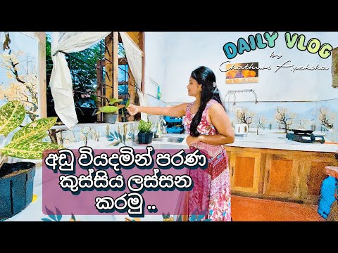 අඩු වියදමින් පරණ කුස්සිය ලස්සන කරමු/Old kitchen makeover #kitchen #viralvideo #art