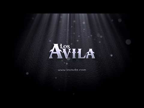 Los Hermanos Salcedo (Corrido)