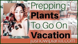 How To Take Care Of Houseplants While Traveling Or On Vacation: Keep Houseplanrs Watered