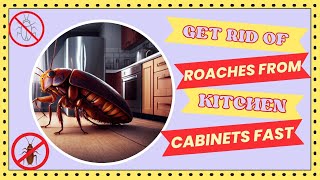 How To Get Rid Of Cockroaches In Kitchen Cabinets? Quick Solution