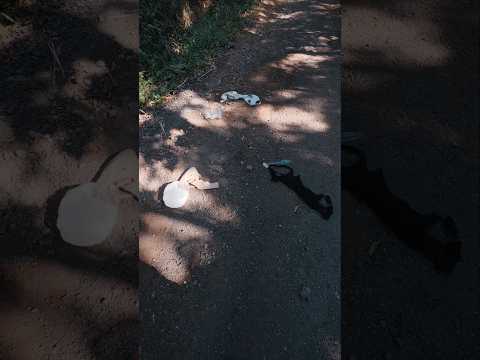 ¿Qué pasó aquí? 👀 | Calle El Avispero, Poas de Alajuela #costarica #vlog #curiosidades #alajuela