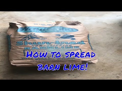 How to easily spread barn lime!