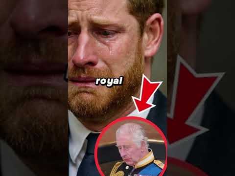 King Charles Responds to Prince Harry’s Emotional Plea with a Significant Royal Decision