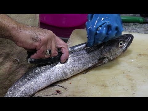 Does Pollock Fish Have Scales? [Comprehensive Answer] - CGAA.org