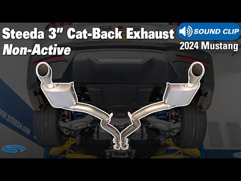2024 Mustang GT w/ Steeda 3" Cat-Back Exhaust (Non-Active) | Sound Clips