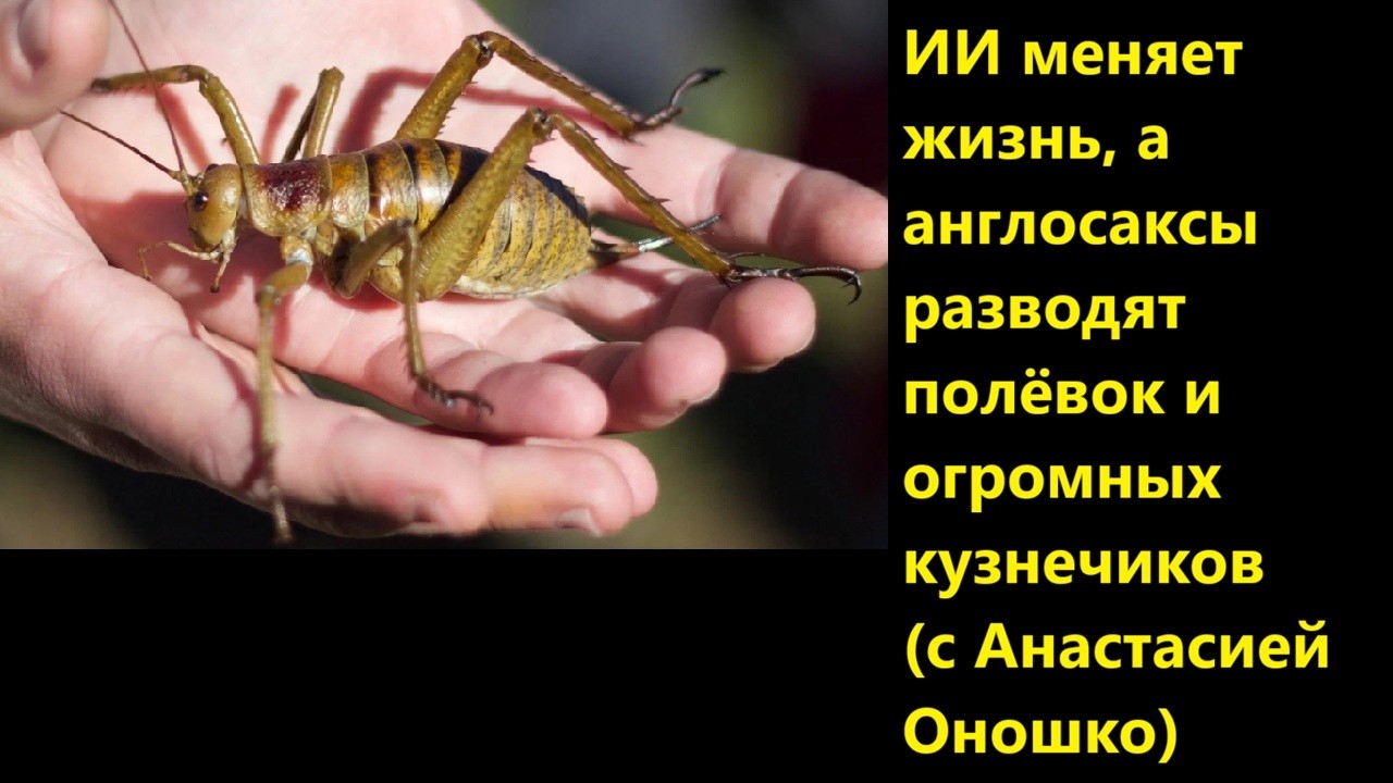 ИИ меняет жизнь, а англосаксы разводят полёвок и огромных кузнечиков (с Анас?