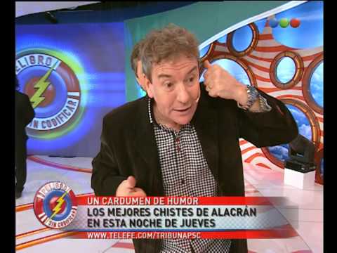 Scorpion Jokes - Uncoded Danger