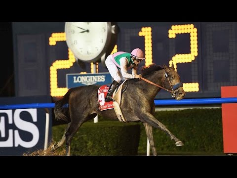 Racehorse Arrogate comes from last to win 2017 Dubai World Cup