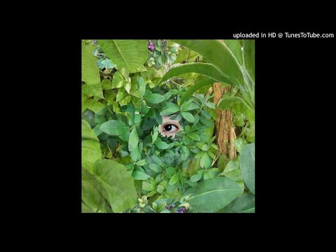 download lagu mp3 mp4 Mari Sekine, download lagu Mari Sekine gratis, unduh video klip Mari Sekine