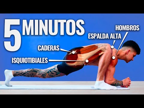 Unlock your mobility in 5 minutes (DAILY STRETCHING)