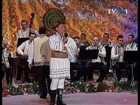 ALEXANDRU PUGNA - Strugurele de aur 2011.mpg