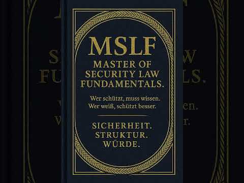 UN Leitprinzipien für Wirtschaft und Menschenrechte Juergen Sauerwald · MSLF‑Systematik ©