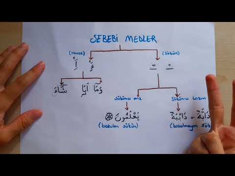 Tecvid Dersi 2'in Devamı/ Sebeb-i Med'in  Kısa Anlatımı ( Örnekli)