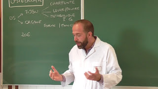 Anatomie générale 1 - Cours dostéologie génér