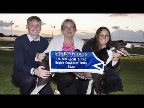 Romeo Magico - 2022 English Derby Champion