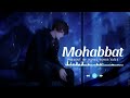 Mohabbat Ab Mai Na Karunga Kisiko (Slowed + Reverb) | Hindi SONGS Edit