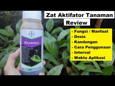 Bayer Ambition Fertilizer Review | Function, Benefits, Dosage, and How to Use Ambition Plant Acti...