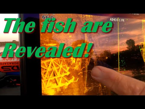 Lowrance Sidescan Fish Reveal On the Water Settings and Operation
