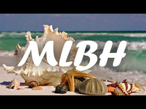 Wiz Designer -  Nyampinga (Zedboy Remiix) 2020