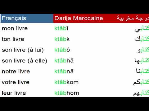 darija : Arabe marocain