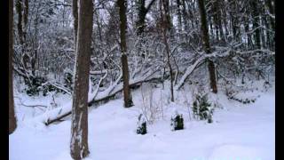 2000 Miles Acoustic Cover