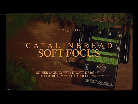 Catalinbread Soft Focus Reverb 2024 - Present - Gold / Black image 2