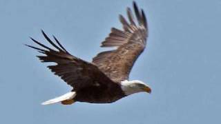 Native American flute meditation