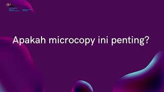 Cari Tahu Tentang Microcopy di UX Writer Yuk!