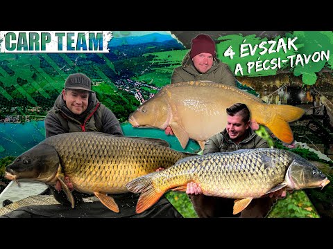 Rokolya Péter - 4 évszak nagyponty-horgászata a Pécsi-tavon