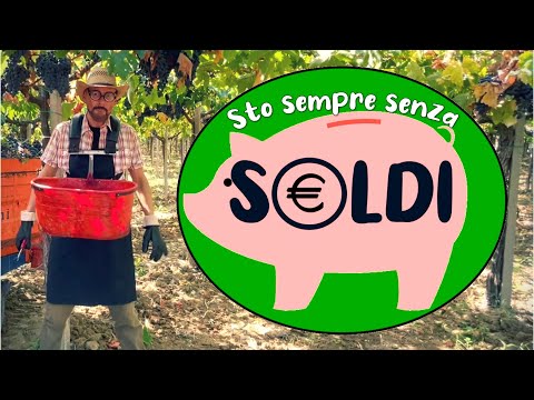 Sto sempre senza SOLDI (by ROBY SANTINI nei panni di Culino)