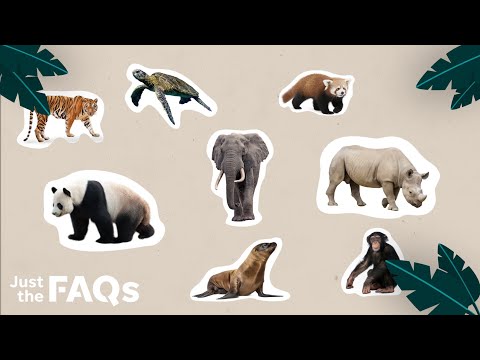 How does a species become endangered? | JUST THE FAQS