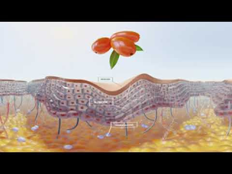Vídeo CGI 360 – Vitae