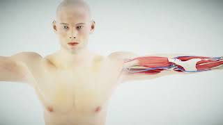 의료기기 반재료/반제품