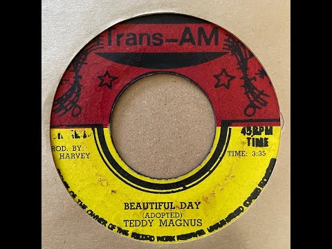 Teddy Magnus - Beautiful Day【7-21238】
