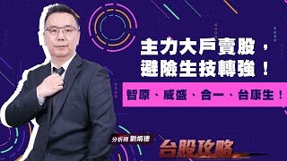主力大戶賣股，避險生技轉強！智原、威盛、合一、台康生！ (圖)