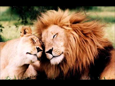 The Love Bug Will Bite You