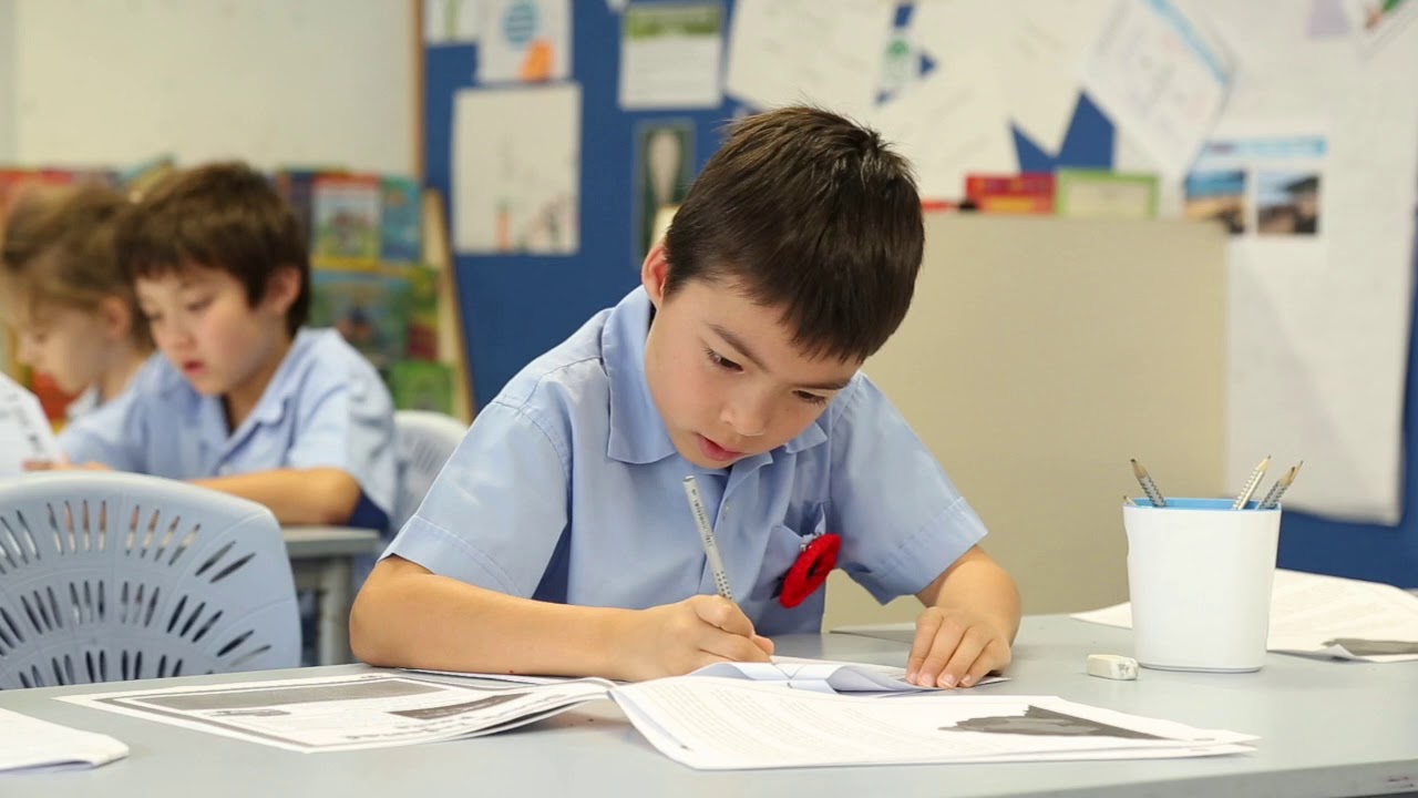 A Day in the Life of DBIS 2018