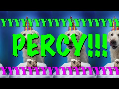 HAPPY BIRTHDAY PERCY! - EPIC Happy Birthday Song