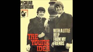 The Young Idea Peculiar situation Single 1967
