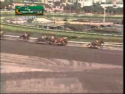 Clásico Adolfo Vásquez Pequeño (F - 1.300 m) 2013: Triunfo de Miss Persa