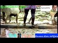 Nanja Punja Namma Kannukazhagu Spb Chithra Use Grystal Sound
