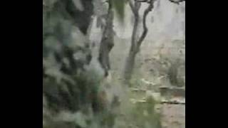 Stiff Little Fingers