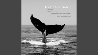 Jeg Våknet Her En Dag - I Awoke Here One Day