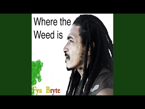 Where the weed is